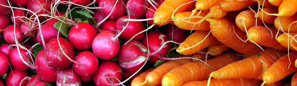 carrots and radishes