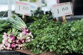 onions and cilantro for sale in a market